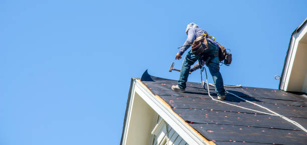 Best Roof Gutter Cleaning  in New Iberia, LA